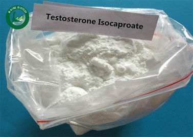Bodybuild Raw Testosterone Anabolic Steroid Isocaproate CAS 15262-86-9