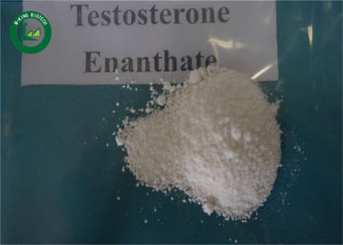 Muscle Growth Hormone Testosterone Enanthate 315-37-7 For Bodybuilder