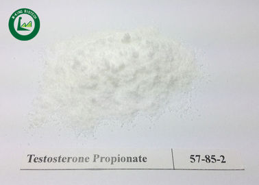 Fat Shredding Steroids Testosterone Propionate CAS 57-85-2 USP Standard